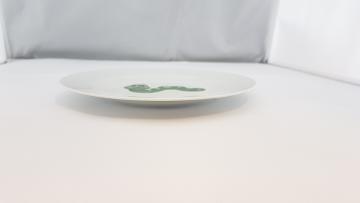 Assiette Plate- Décoration Ver